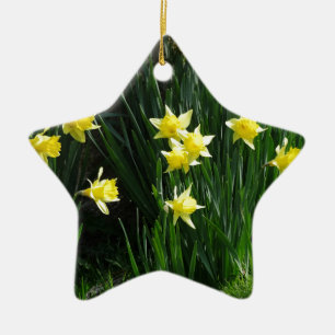 Ornamento De Cerâmica Primavera Daffodils