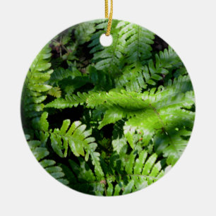 Ornamento De Cerâmica Primavera Green Ferns