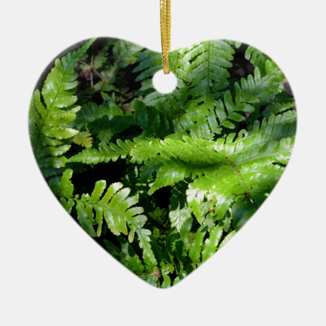 Ornamento De Cerâmica Primavera Green Ferns boho botânico (Frente)
