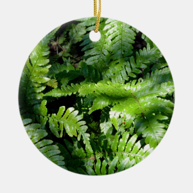 Ornamento De Cerâmica Primavera Green Ferns boho botânico (Frente)