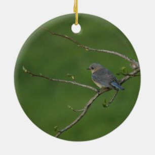 Ornamento De Cerâmica Primavera/páscoa: Bluebird masculino, Bluebird