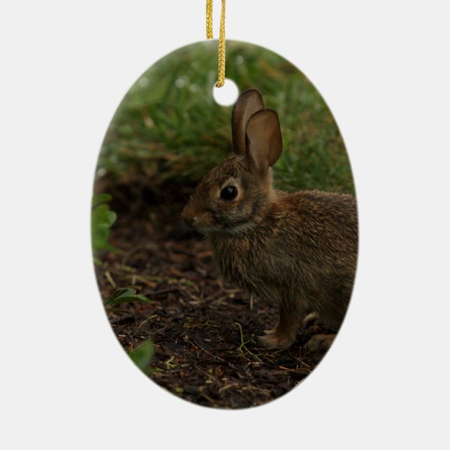 Ornamento De Cerâmica Primavera/páscoa: Pintinho, coelho (Verso)