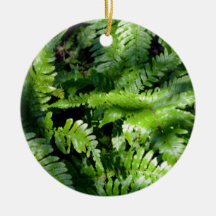 Ornamento De Cerâmica Primavera Verde-Ferns