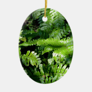 Ornamento De Cerâmica Primavera Verde-Ferns