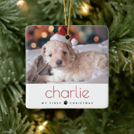 Ornamento De Cerâmica Primeira Foto de Natal de Pet de Tipo Moderno Míni