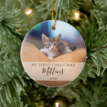 Primeira Foto de Natal do Gato Cachorro Pet com Le