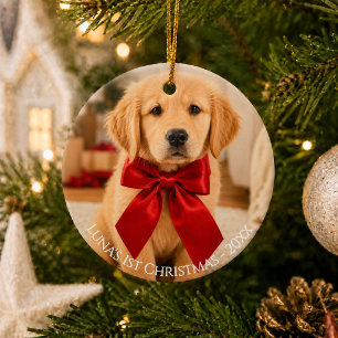Ornamento De Cerâmica Primeira Foto de Natal do Golden Retriever