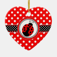 Primeiro aniversario Bonito Ladybugs