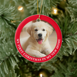 Ornamento De Cerâmica Primeiro Cachorro de Natal Personalizado Foto