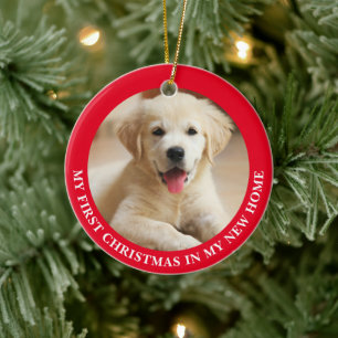 Ornamento De Cerâmica Primeiro Cachorro de Natal Personalizado Foto