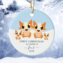 Primeiro Natal como Família de 4 Raposa Animal