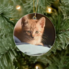 Ornamento De Cerâmica Primeiro Natal de Kitten