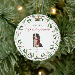 Ornamento De Cerâmica Primeiro Natal do Cachorro Doce com Nome e Ano