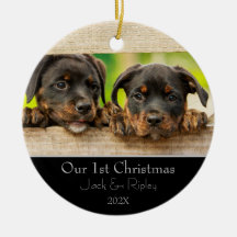 Primeiro Natal dos Pets