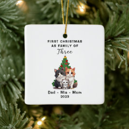 Ornamento De Cerâmica Primeiro Natal Personalizado Como Família De Três