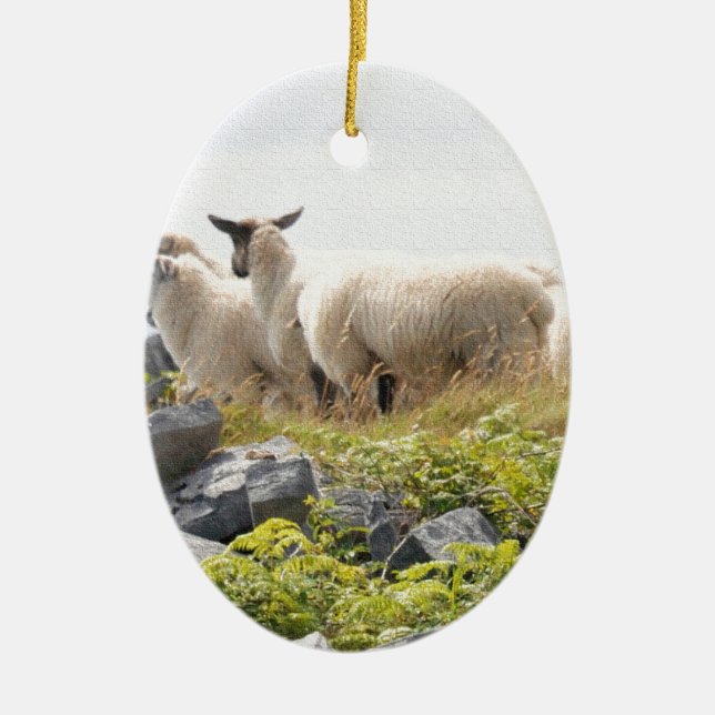 Ornamento De Cerâmica Projetos Excêntricos - Ovelhas em um campo (Frente)
