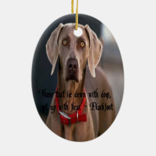 Ornamento De Cerâmica Provérbio indiano americano das citações Blackf