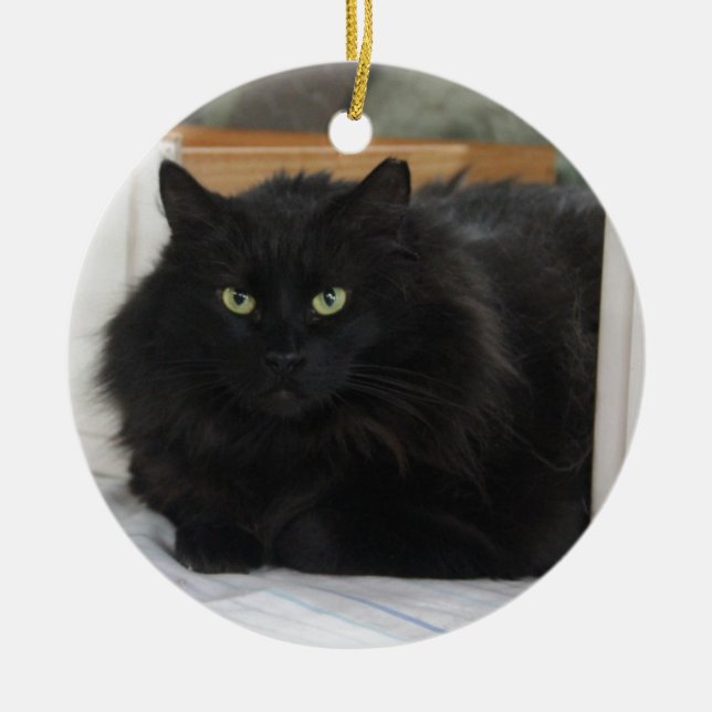 Ornamento De Cerâmica Puffball (Frente)