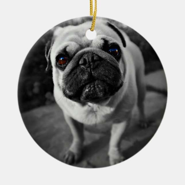 Ornamento De Cerâmica Pug bonito (Frente)