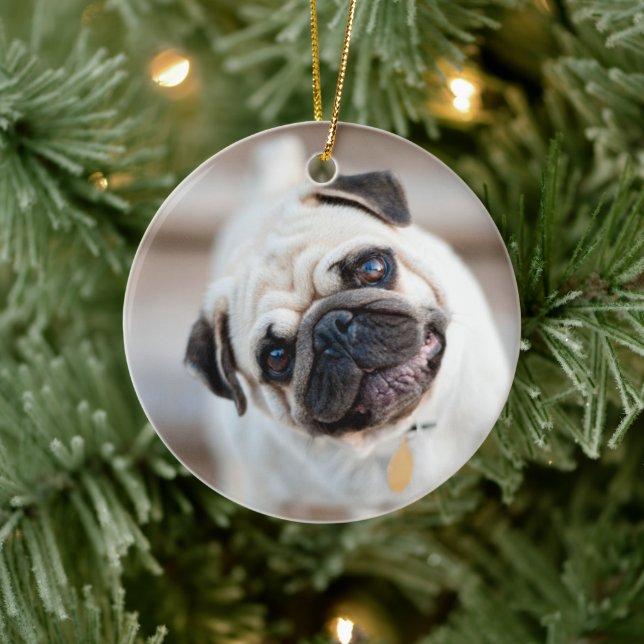 Ornamento De Cerâmica Pug Head Tilt (Árvore)