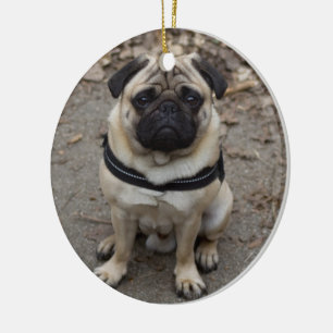 Ornamento De Cerâmica Pug Muito Grave