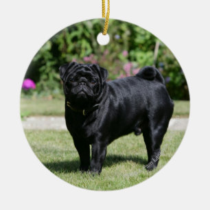 Ornamento De Cerâmica Pug preto que está de vista a câmera