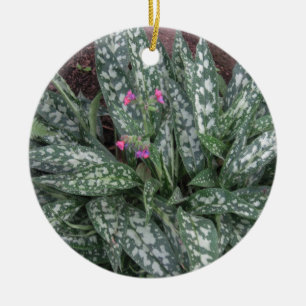 Ornamento De Cerâmica Pulmonaria - Lungwort constantes