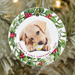 Ornamento De Cerâmica Puppy Dog Primeiro Natal Personalizado 2 Foto Mist