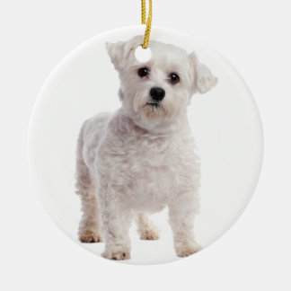 Ornamento De Cerâmica Puppy maltês