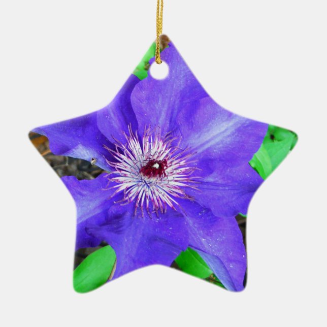 Ornamento De Cerâmica Purple Clematis Flower (Frente)