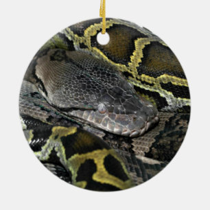 Ornamento De Cerâmica Python molurus bivittatus