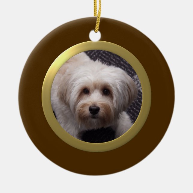 Ornamento De Cerâmica Quadro de Fotografia Pet Personalizado (Castanho/D (Frente)