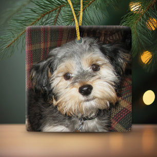 Ornamento De Cerâmica Quadro de Fotografias de Cachorro Personalizado -