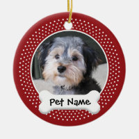 Quadro personalizado da foto do cão -