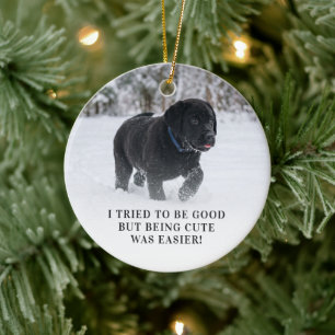 Ornamento De Cerâmica Querido Papai Noel Eu Tentei Ser Bom Foto Fofa