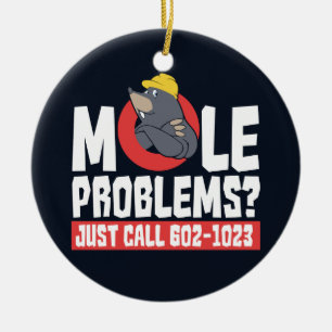 Ornamento De Cerâmica Química Engraçada Fórmula Mole Problema Gag Ci