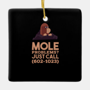 Ornamento De Cerâmica Química - Problemas de Mol