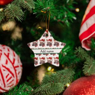 Ornamento De Cerâmica Raça de Cão Sem Pelo Mexicano Estrelas de Natal