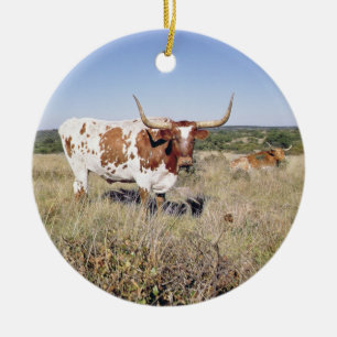 Ornamento De Cerâmica Raça de Texas Longhorn (foto)