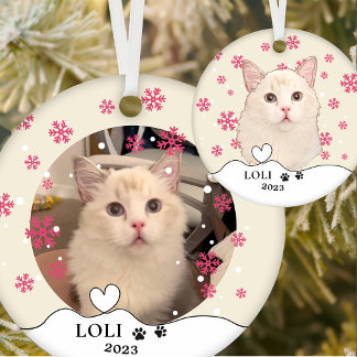 Ornamento De Cerâmica Ragdoll Cat Desenho de Mão Personalizado