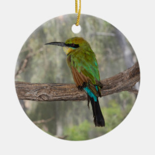 Ornamento De Cerâmica Rainbow bee eater bird, Austrália