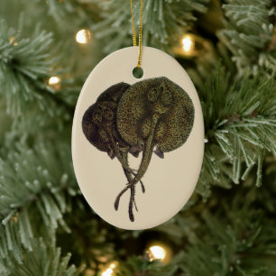 Ornamento De Cerâmica Raios-Cama Vintage Rays Stingrays, Animais da Vida