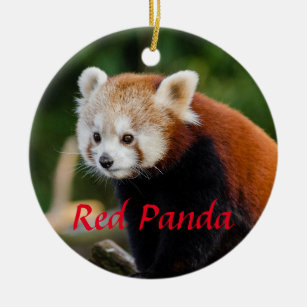 Ornamento De Cerâmica Raposa-Fogo-Panda Vermelha
