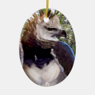 Ornamento De Cerâmica "Raptor"
