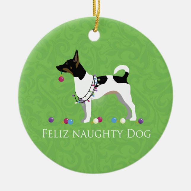 Ornamento De Cerâmica Rat Terrier Feliz Naughn no Natal (Frente)
