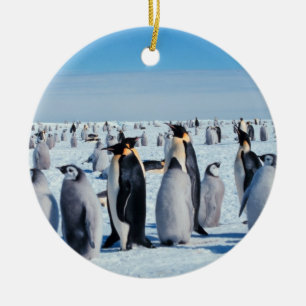 Ornamento De Cerâmica Recolhimento do pinguim
