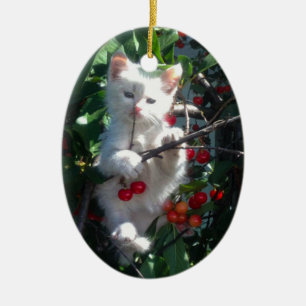 Ornamento De Cerâmica Recordação Gato da Família Foto de 1 Lado
