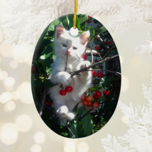 Ornamento De Cerâmica Recordo de Gatinho Foto de Dois Lados