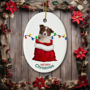 Ornamento De Cerâmica Red Border Collie Puppy no Holiday Gift Bag