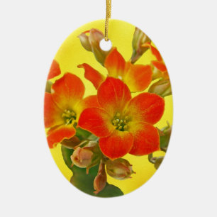 Ornamento De Cerâmica Red Kalanchoe - Sunshine Suculente